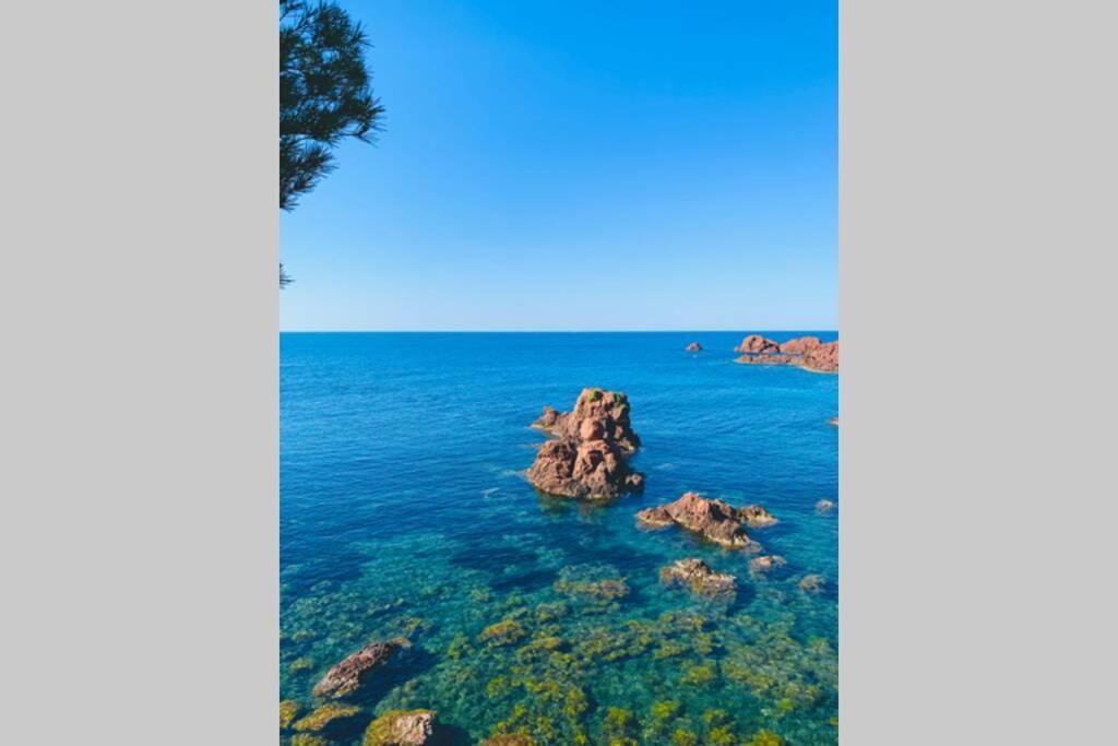 Superbe 4 Couchages Avec Terrasse - Clim - 50M De La Mer Saint-Raphaël Eksteriør billede