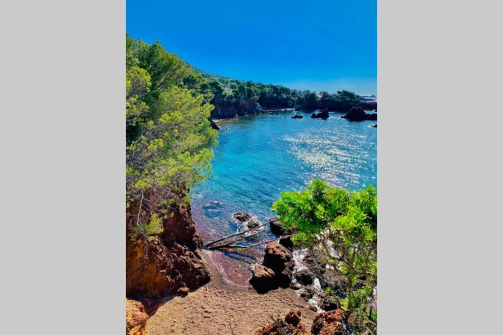 Superbe 4 Couchages Avec Terrasse - Clim - 50M De La Mer Saint-Raphaël Eksteriør billede