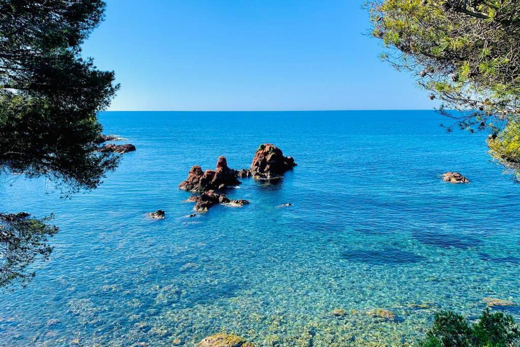 Superbe 4 Couchages Avec Terrasse - Clim - 50M De La Mer Saint-Raphaël Eksteriør billede